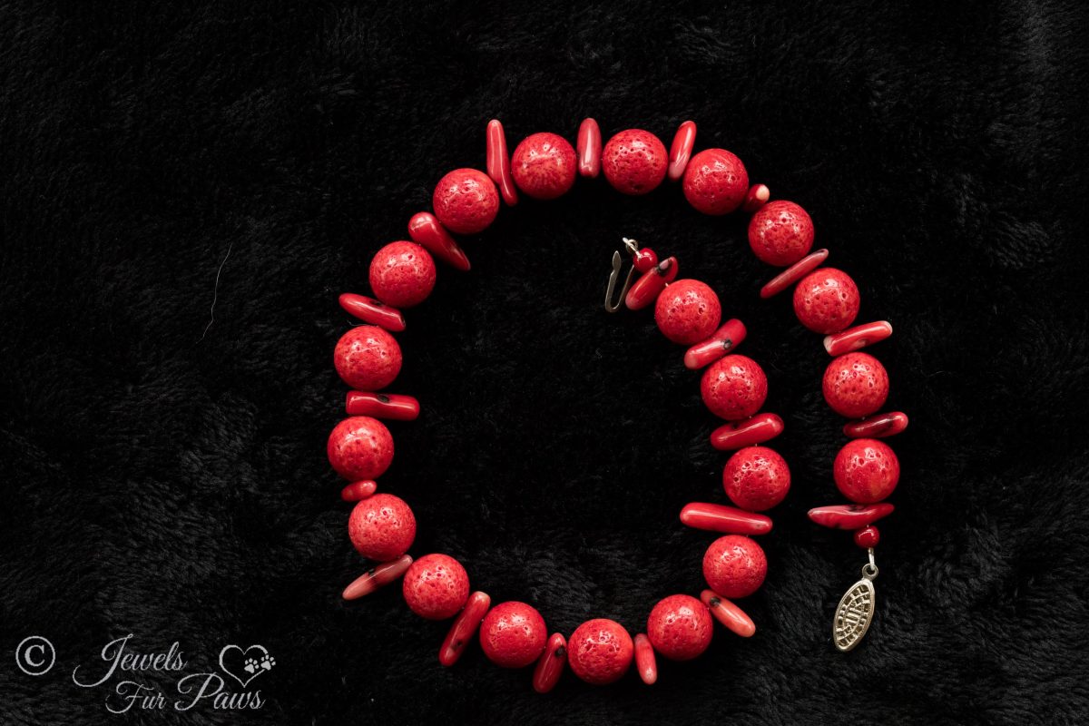dog cat pet necklaces pet jewelry red coral beads and coral branches on black background