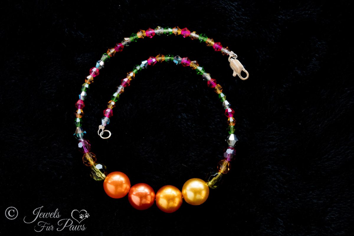 dog cat pet necklace with four large orange pearl beads multi colored swarovski crystals on black background