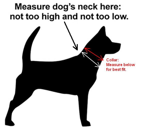 image of black dog with guidelines for measuring placement of pet necklace on white background