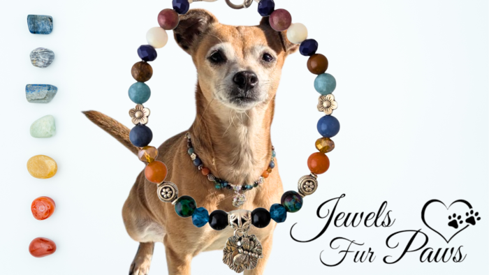 Handcrafted Root, Sacral, and Throat Chakra Necklace for Pets with Aquamarine, Black Onyx, and Orange Calcite beads, silver spacers, and a dragonfly charm, designed to balance energy and promote emotional well-being.