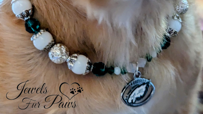 Philadelphia NFL Eagles Charm Necklace, Designed for both pets and their parents, this unique accessory combines style and well-being, making it the perfect way to show team spirit while promoting a sense of calm and balance.