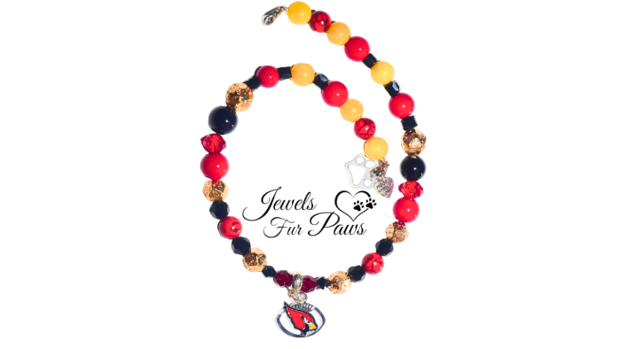 your pet deserves all-star style! 🏆🐶🐾and Arizona NFL Cardinal Charm Necklaces are the touchdown play!