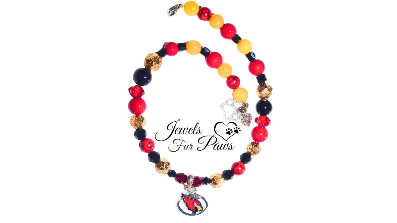 your pet deserves all-star style! 🏆🐶🐾and Arizona NFL Cardinal Charm Necklaces are the touchdown play!