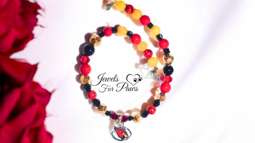 your pet deserves all-star style! 🏆🐶🐾and Arizona NFL Cardinal Charm Necklaces are the touchdown play!