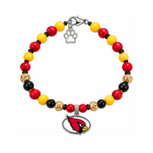 Arizona #1 Football Pet and Parent Necklaces, Team Inspired Dog Jewelry🐾