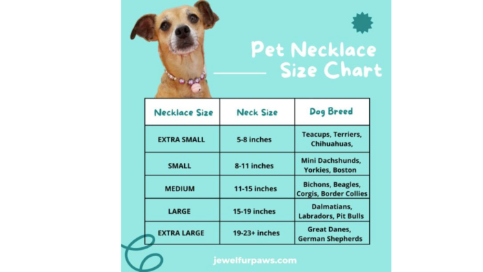 A chakra necklace makes a better connection between you and your pet.