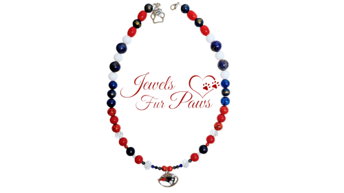 New England Patriots Charm Necklace for Fans