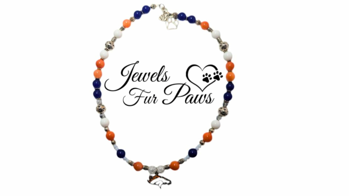 Handcrafted Denver NFL Broncos Charm Necklace for pets, featuring team-colored beads and Broncos charm, designed to enhance creativity and vitality