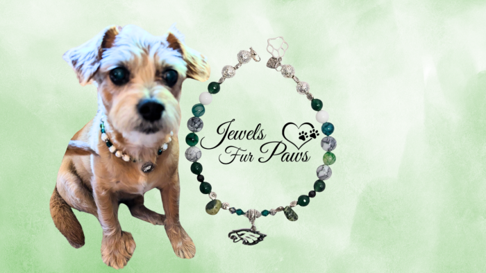 Philadelphia NFL Eagles Charm Necklace, Designed for both pets and their parents, this unique accessory combines style and well-being, making it the perfect way to show team spirit while promoting a sense of calm and balance.