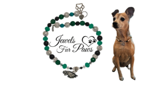 Philadelphia Eagles pet necklace featuring green jade, white agate, and silver accents, modeled by a small dog for game day.