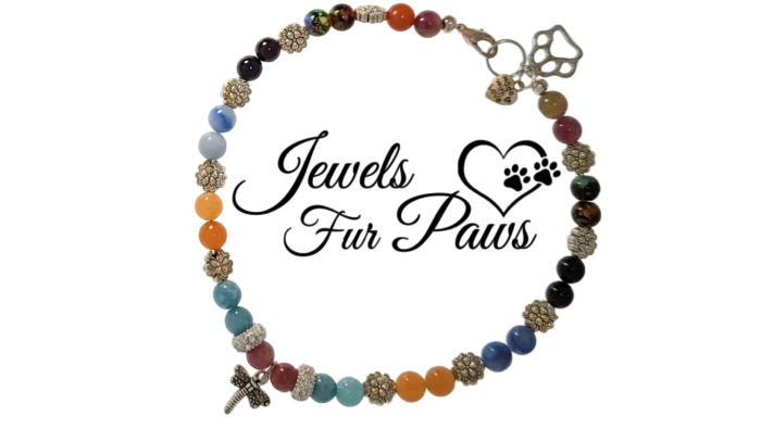 Handmade dragonfly chakra pet necklace with aquamarine, onyx, and orange chalcedony beads