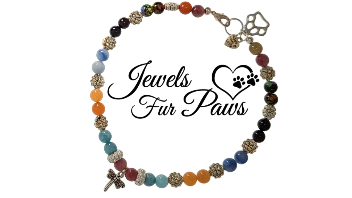 Handmade dragonfly chakra pet necklace with aquamarine, onyx, and orange chalcedony beads