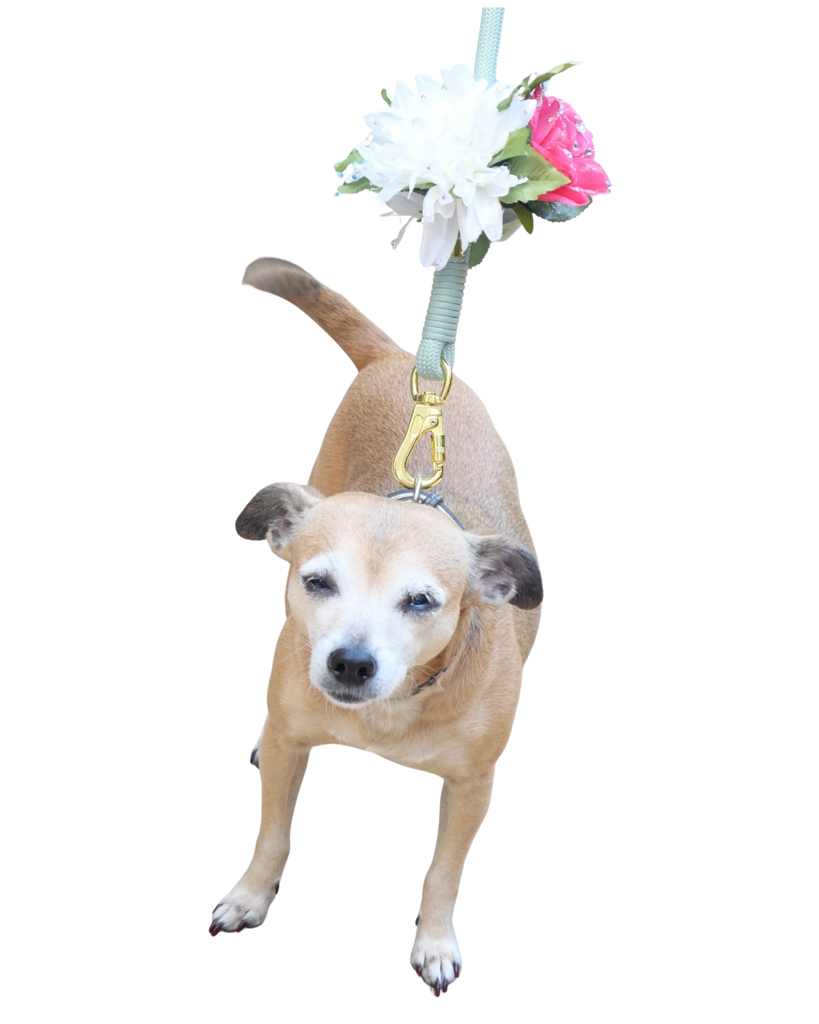 Elegant Green Floral Dog Leash - Image 2