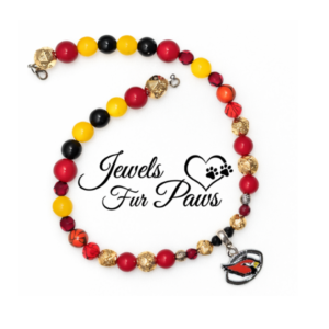 🏈Arizona #1 Football Pet Necklace, Team Inspired Dog Jewelry🐾